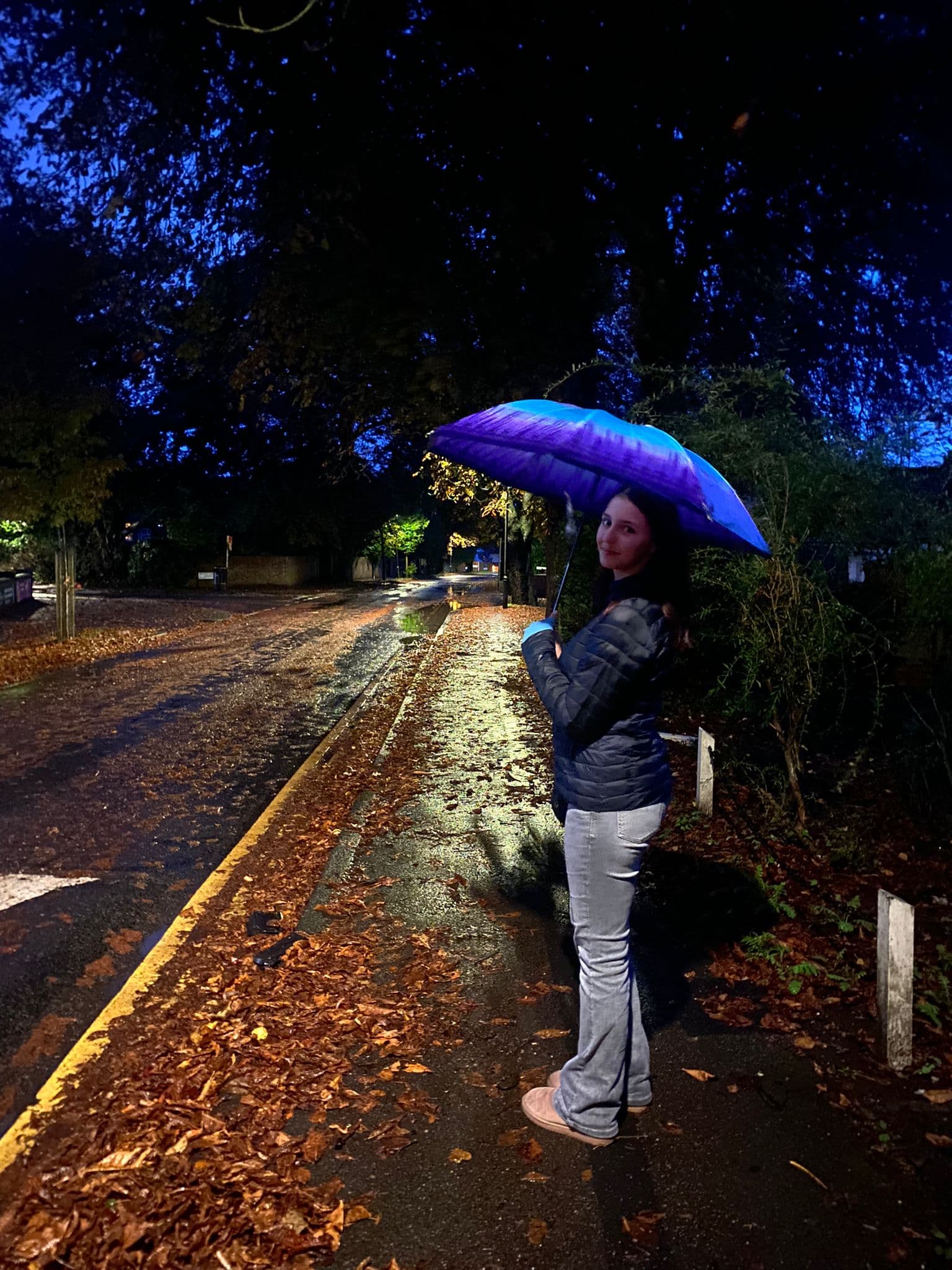 Woman holding a purple and blue umbrella on a wet, leaf-strewn sidewalk at night.